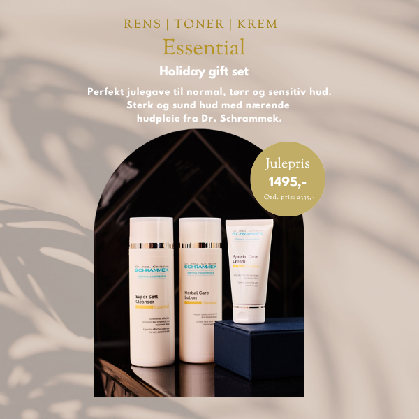 Essential Holiday Gift Set