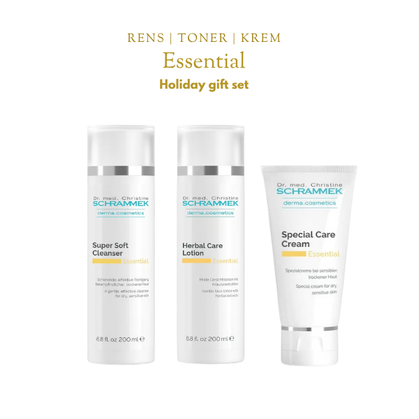 Essential Holiday Gift Set