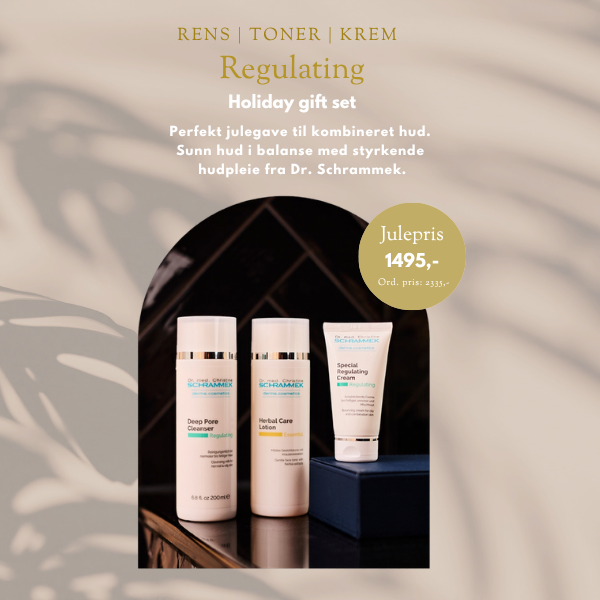 Regulating Holiday Gift Set